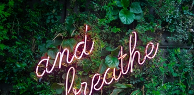 Declare Your (Kid-Free) Independence: Growth Moments for Co-Parents Photo