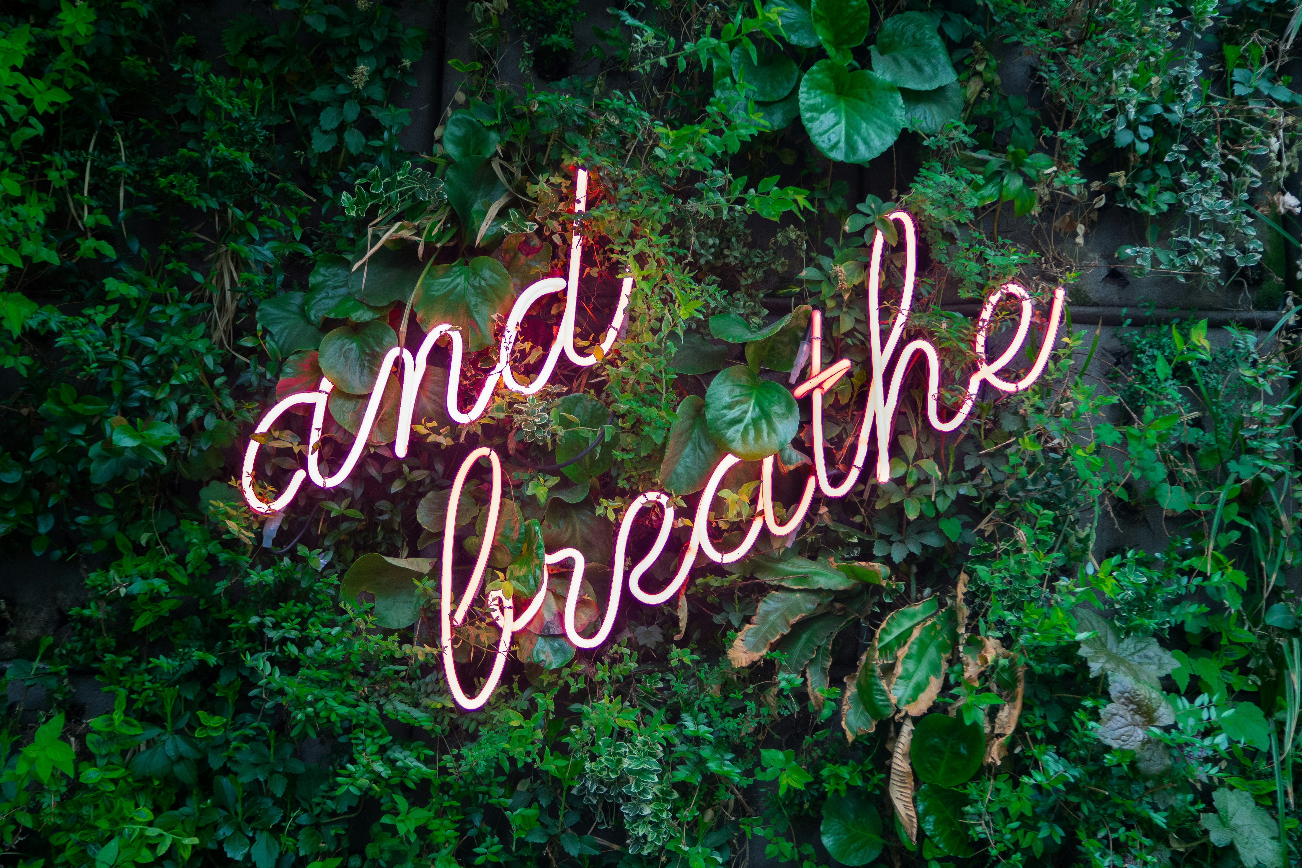 Pink neon sign that reads “and breathe” mounted on a lush green plant-covered wall, creating a calming and peaceful atmosphere